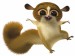 Madagascar_lemur